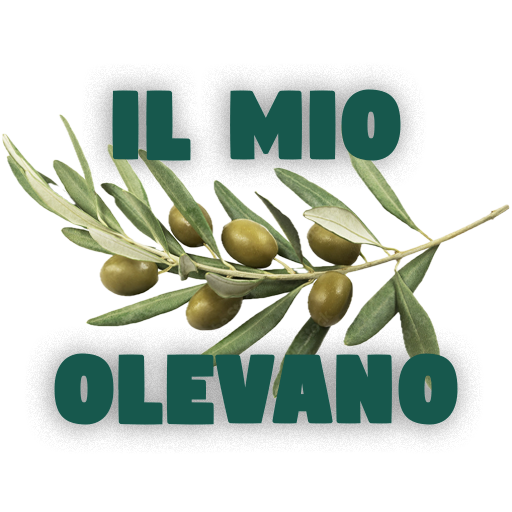 Mio Olevano